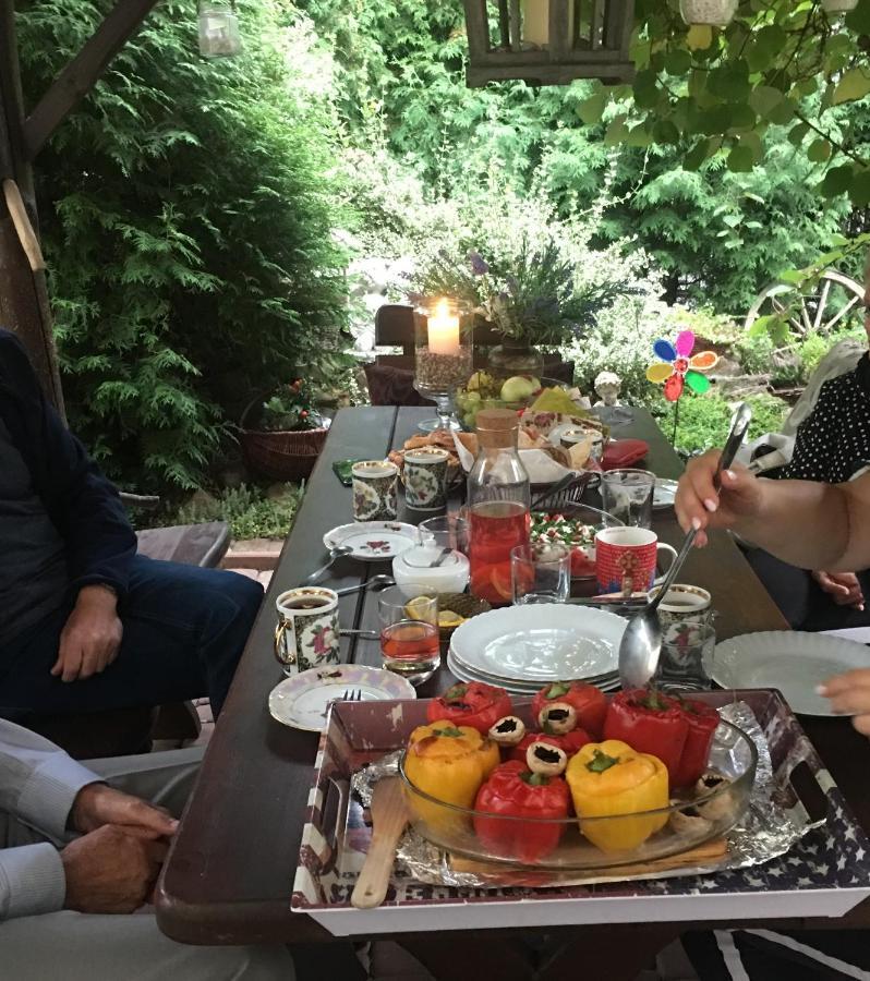 קרקוב Cracow. Villa Cherubin Garden מראה חיצוני תמונה